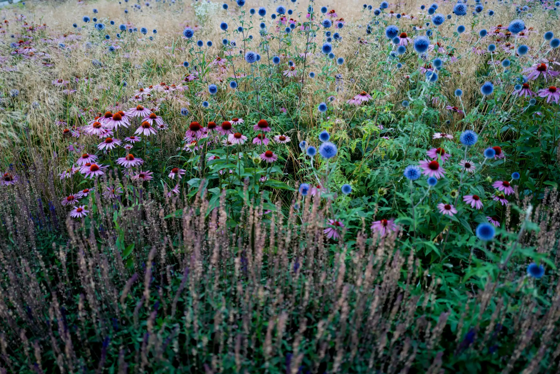 Break Your Heart Open